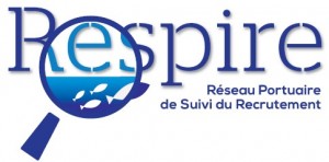 LOGO_RESPIRE_TRANSPARENT